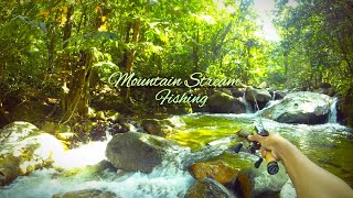 MALAYSIA Mountain Stream Fishing || Casting Tengas Sg Pergunungan