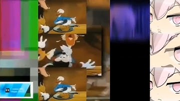 260 Shuric Scans With Are Slides