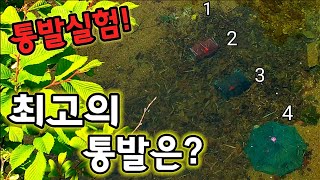 무조건 잡는 법! 통발낚시의 모든 팁! 즉석에서 술안주로 먹어보자! 산속 1급수 색다른 요리법! 최고의 통발은?