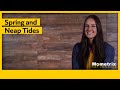 Tides Explained: Understanding Spring and Neap Tides and Their Effects on Sea Levels