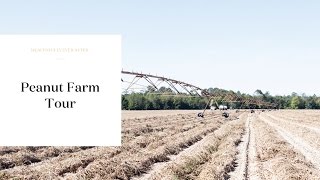 Southern Virginia Peanut Farm Tour