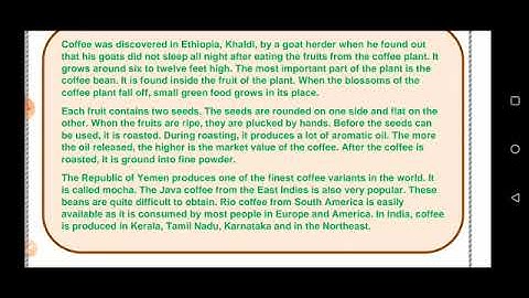 Grade 3 English Dated 02 08 2021