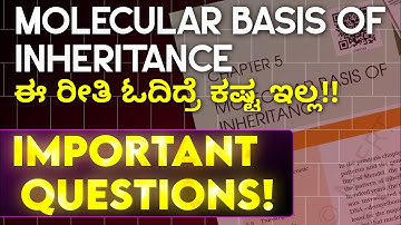 Molecular Basis of Inheritance Important Questions for 2PUC Board exam!