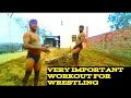 Workout very important for wrestling in akhadasky bandhu