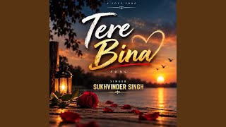 TERE BINA