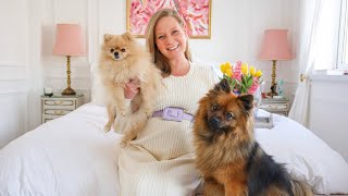HOW TO CONVINCE YOUR PARENTS TO GET A PUPPY (POMERANIAN) | Katie KALANCHOE
