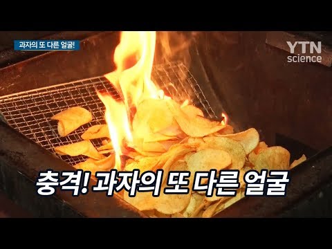 충격! 과자의 또 다른 얼굴