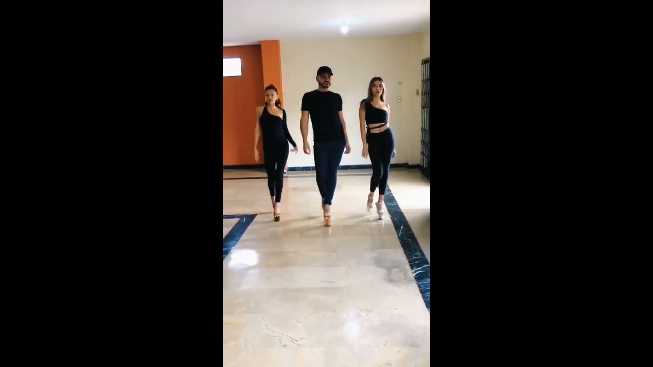 PASARELA DIXON LA ROSA 