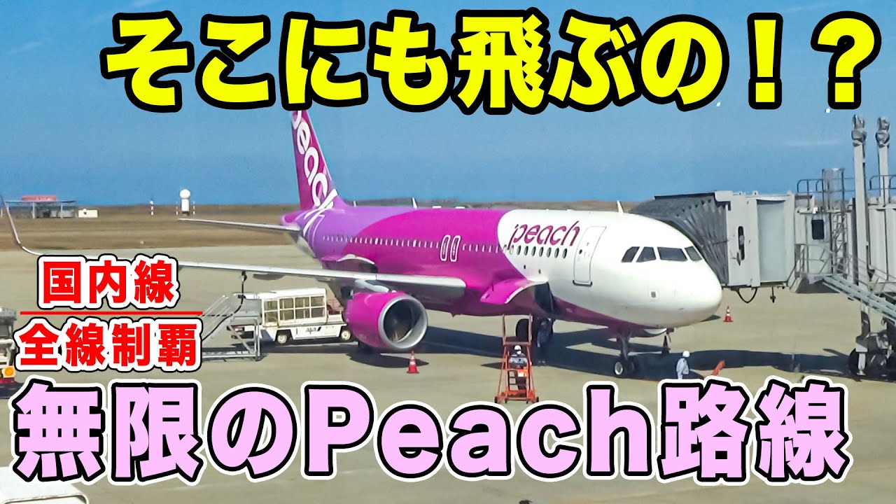【国内線制覇#91】Peachで行く！関西空港ー新潟の短距離便！直前でもお手頃！