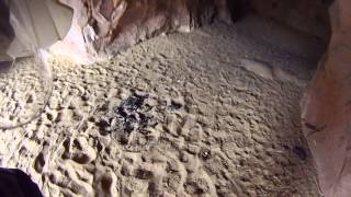 R H McGowan Moab uranium mine shafts
