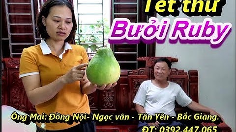 🍏Tét ăn quả bưởi Ruby thái lan thơm ngon ngọt tuyệt vời năn 2022
