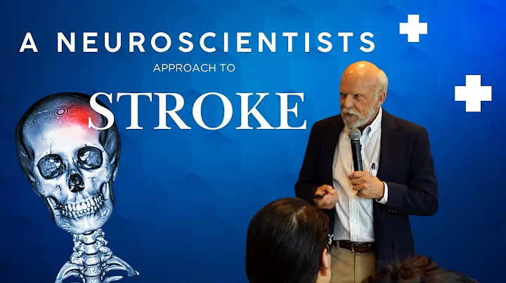 Doc Presentation on Stroke Recovery