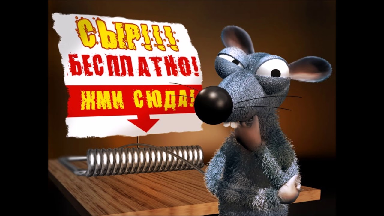 Ловушка халявы Фактрум Ловушка халявы Фактрум