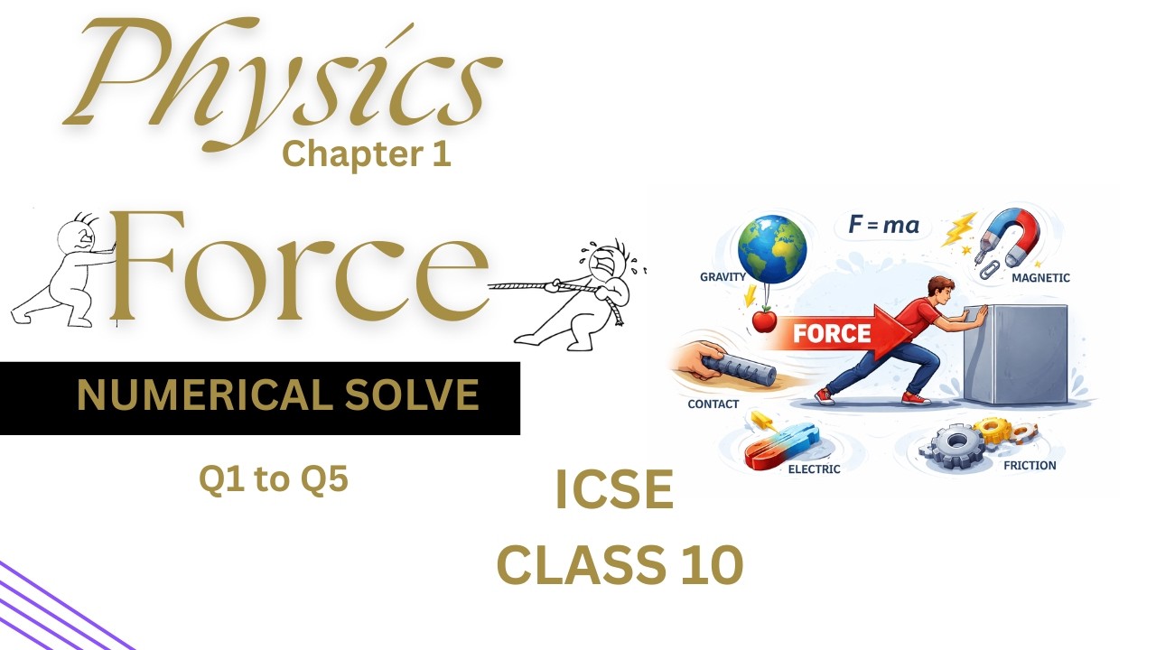 Physics Chapter 1 Force | Numericals Solve | ICSE CLASS 10 - YouTube