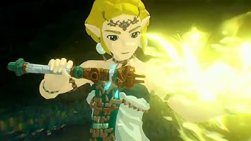 Hyrule Warriors: Age of Imprisonment Trailer