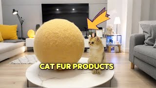 Download Lagu Kattenbontproducten MP3