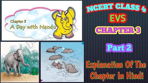 A Day With Nandu || NCERT || EVS || Chapter 3 || Class 4 || Part 2 ||Question/Answers