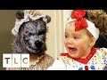 Big Bad Wolf Terrifies Toddlers At Queen Of Hearts Pageant | Toddlers & Tiaras