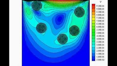 5 Stiff hyperelastic disks in lid-driven cavity flow