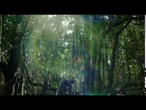 Altamira - Official
