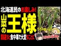 【ゆっくり解説】北海道民の春の楽しみ！山菜の王様とは？北海道グルメ山菜編！