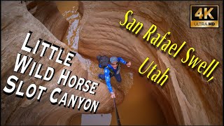 Little Wild Horse Slot Canyon, Free Public Access Trailhead! San Rafael Swell Utah  [4K UHD]