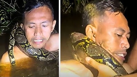 Python Attack: Tour Guide