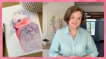 Watercolor Galah. Creating a Focal Point. Composition Tips