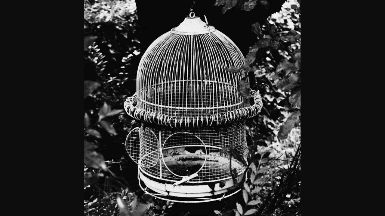 [FREE] Black Pumas x Blk Odyssy Vintage Soul Type Beat 