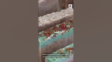 Why Bubbles Are Round?#TheGist #Physics #Science #Bubbles #DidYouKnow #Facts