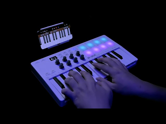 Midi Keyboard Controller Organ