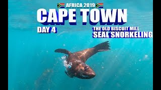 Cape Town Day 4: Seal Snorkeling and The Old Biscuit. Africa 2019 EP#8