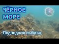 Поездка на Чёрное море, подводная съёмка, Лермонтово, пляж Золотой берег. Перезалив