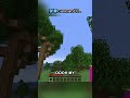 do not watch this minecraft video