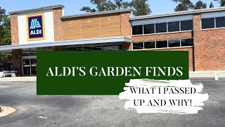 Garden Finds at Aldi: Hidden Gems & Reasons I Passed Up On This Item