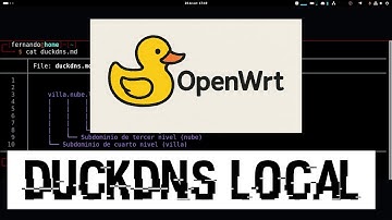 Como hacer tu propio DuckDNS local 🔥