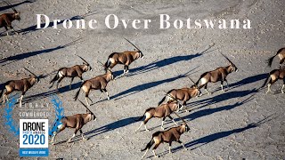 Botswana by Drone - An Aerial Celebration of Botswana's Wildlife and Wilderness. screenshot 5