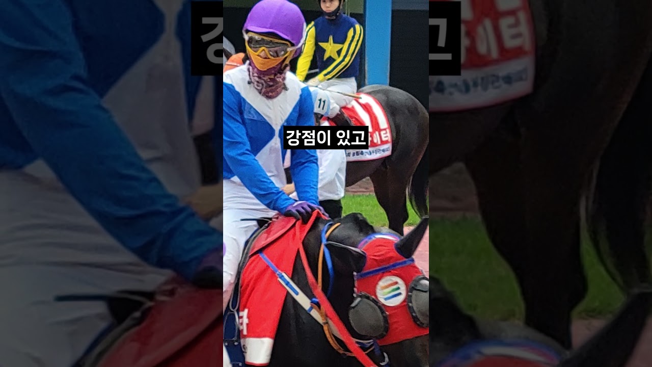 26.01.16 부산경마 04경주