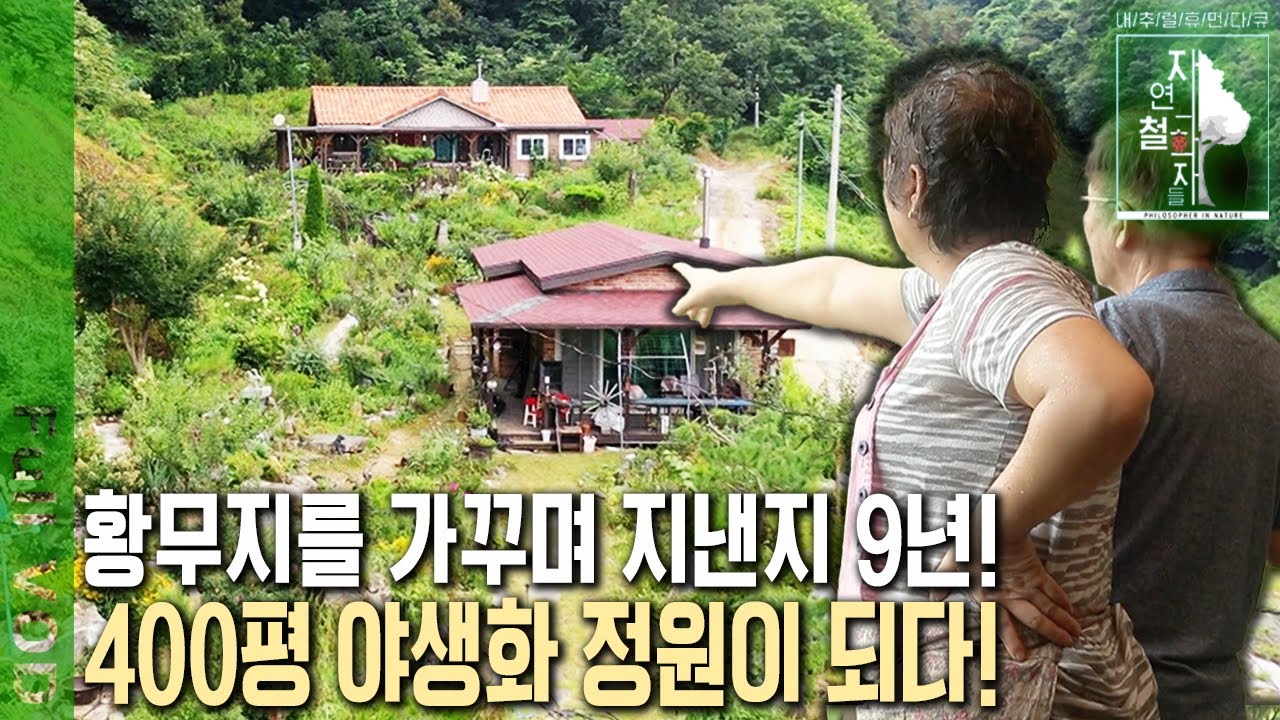 우여곡절 끝에 400평 야생화 정원 완성! 사계절 다른 꽃으로 힐링하는 60대 부부의 황혼 정원 [자연의 철학자들 KBS 20221007 방송]