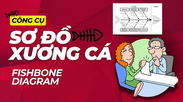 Công cụ Fishbone (Sơ đồ xương cá) - Bí Quyết Giải Quyết Vấn Đề Nhanh Chóng Và Hiệu Quả - Lalaplus