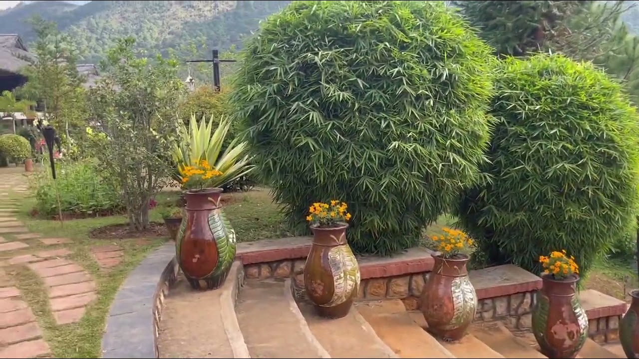 #travelvlog #kalaw Hill Lodge #resort #ဒီဇင်ဘာနံနက်ခင်း