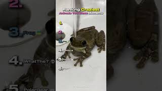 Ranking Craziest Animals Too Close Moments