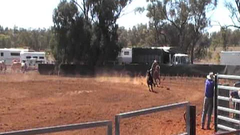 Kimberly Sammon & Seligman's Yellow Miss at Nindig...