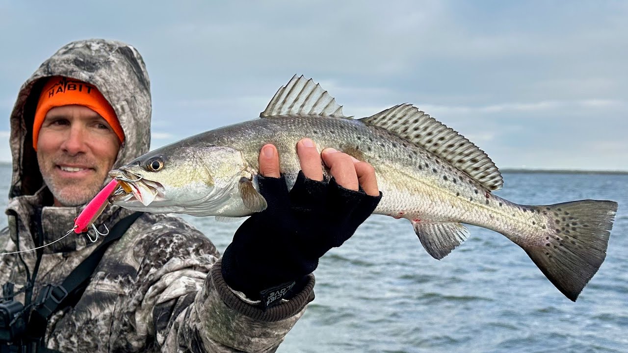 This Old-School Bait Seeing Major Resurgence!