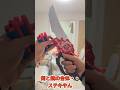 西松屋で買ったスポンジガンソード　Sponge gun sword bought at Nishimatsuya #nerf #おもちゃ #西松屋 #toys