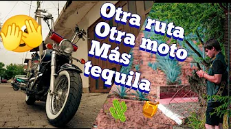Como sobrevivi a la ruta del tequila (capitulo 5)