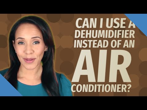 Does A Dehumifier Work Instead Of A Bathroom Exhaust Fan?