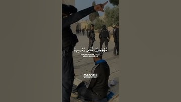 سوره ابراهیم | آیه 42-43 [دعا برای فلسطین | الاقصی مسجد]