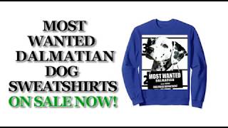 Most Wanted Dalmatian Cute Funny Dog Sweatshirts - Men's, Women's, Kid's - Black, Blue, Dark Heather